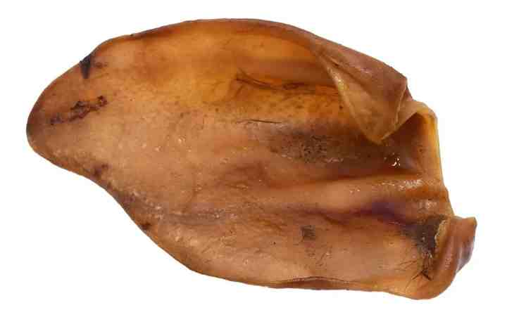 OREJA GROWIS 